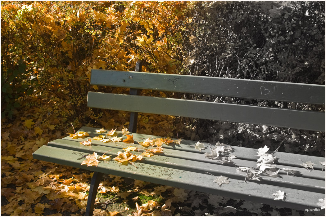 stille Tage im Herbst