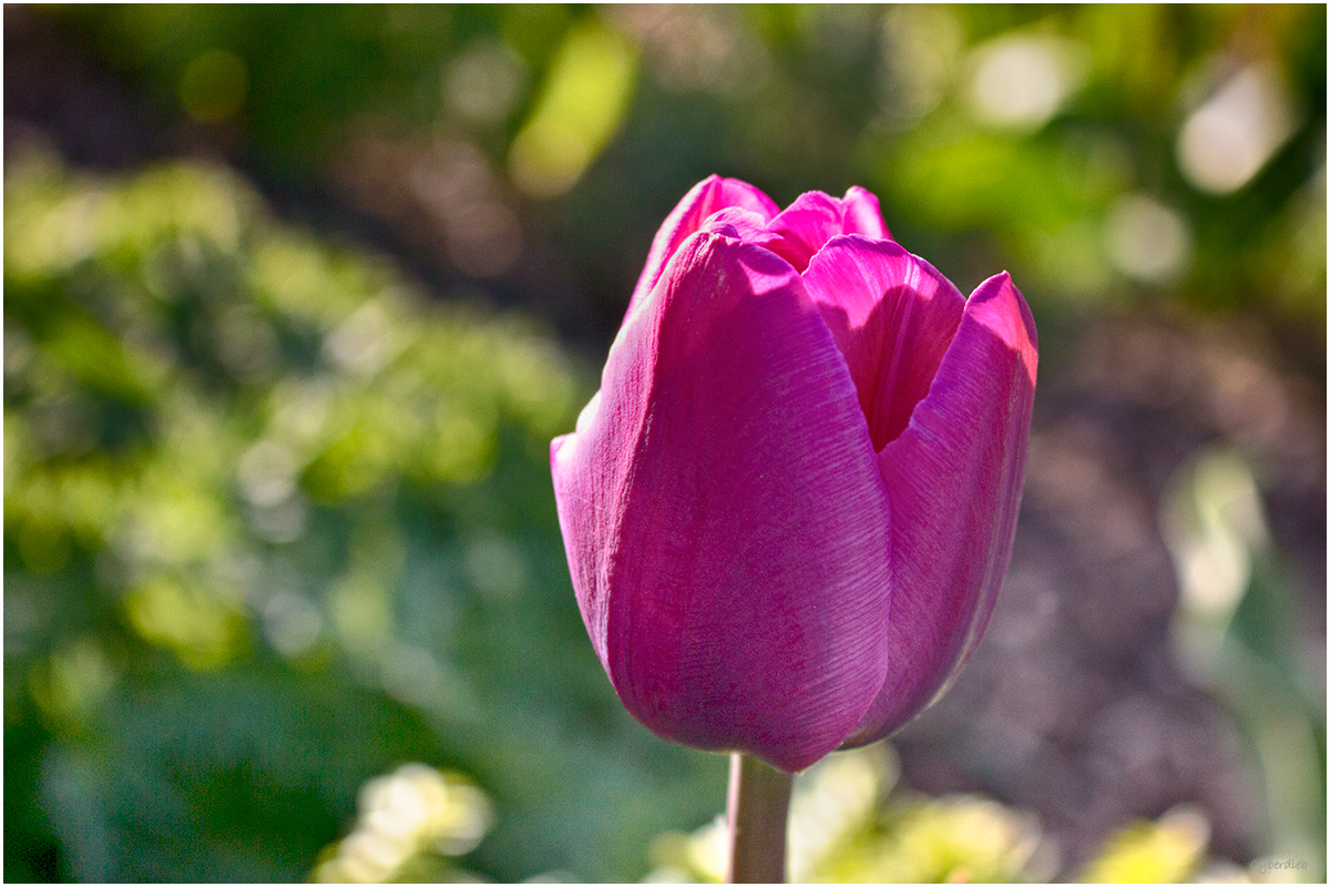Frühlingsfarben