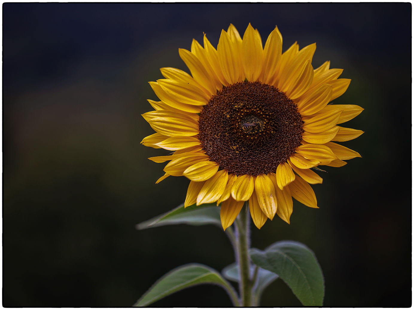 Sommerzeit