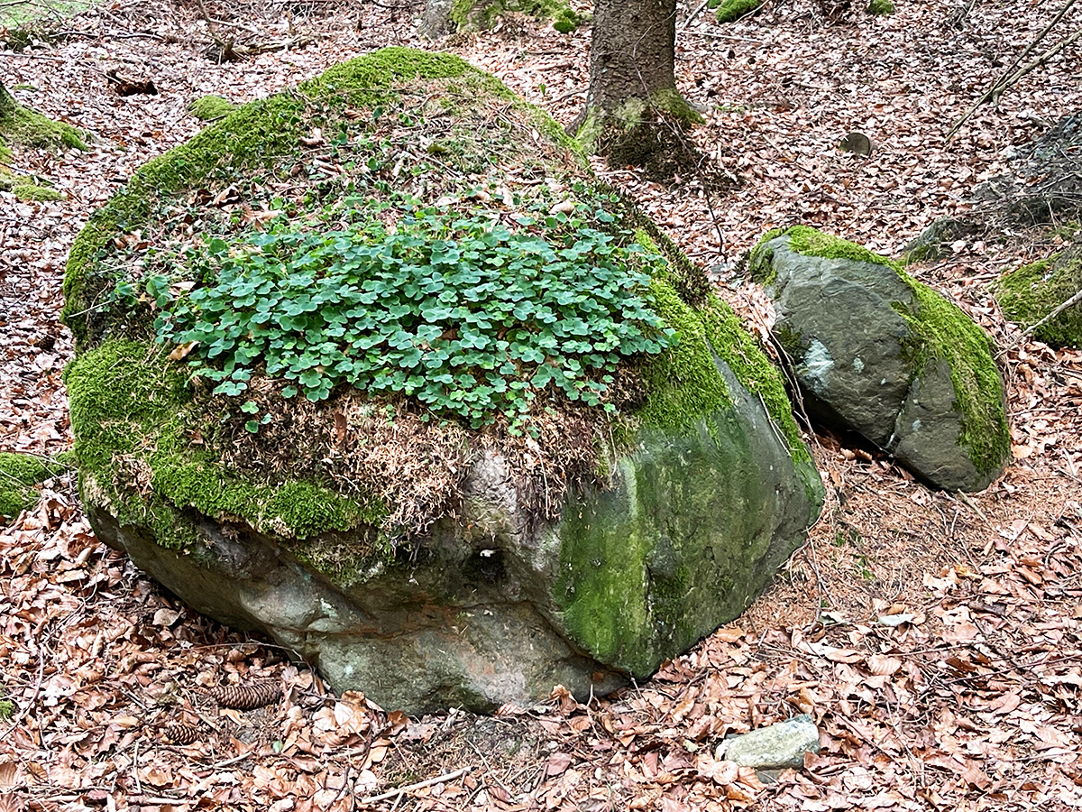Glücksstein