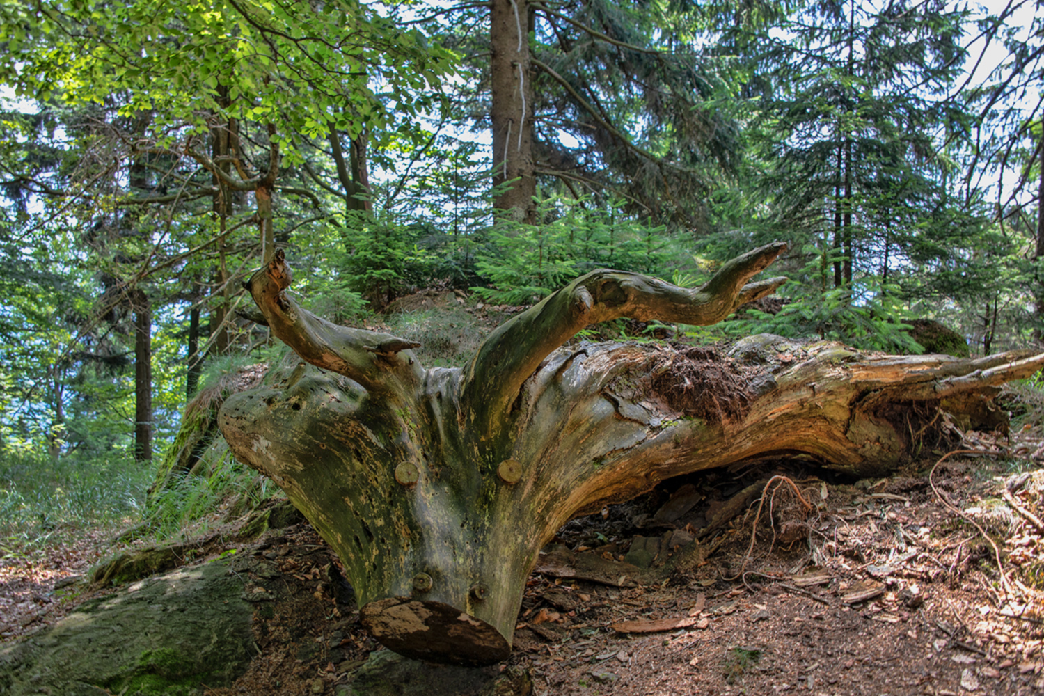 Skulptur im Wald