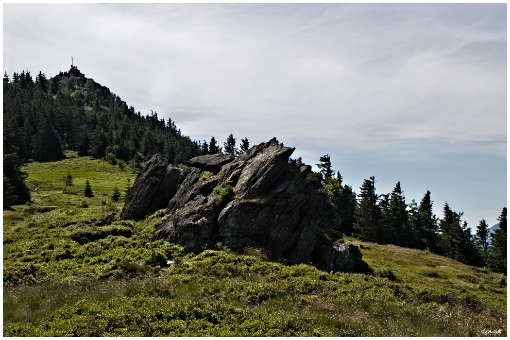 Osserwiese