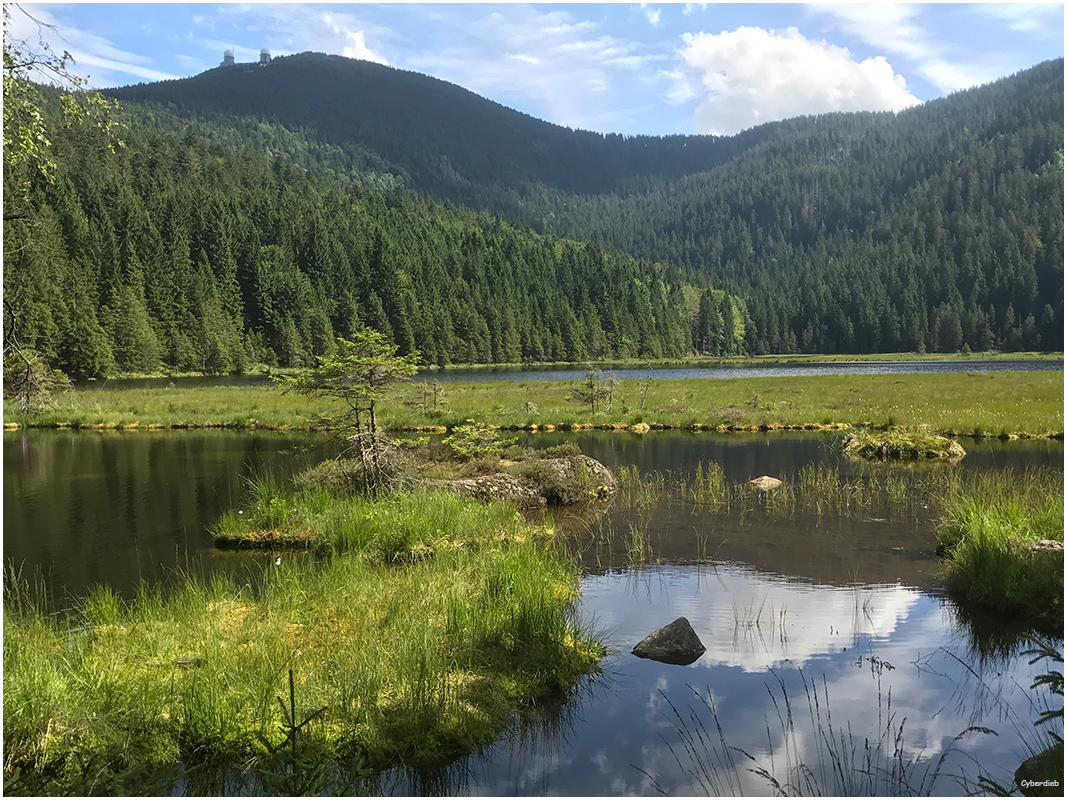 Kleiner Arbersee im Sommer