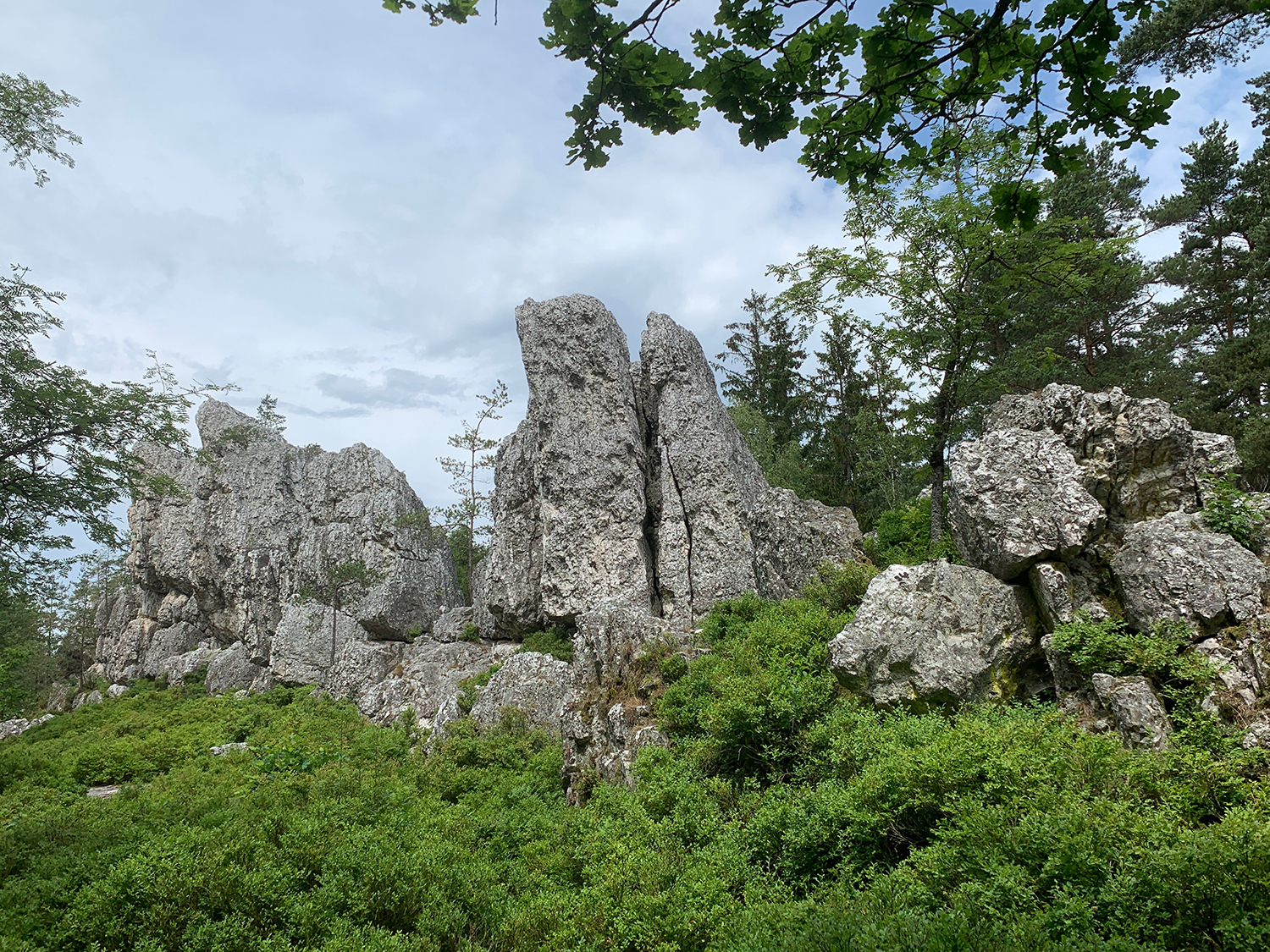 Pfahl Impressionen