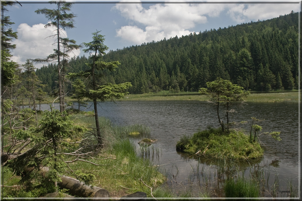 Kleiner Arbersee Sommer 2010
