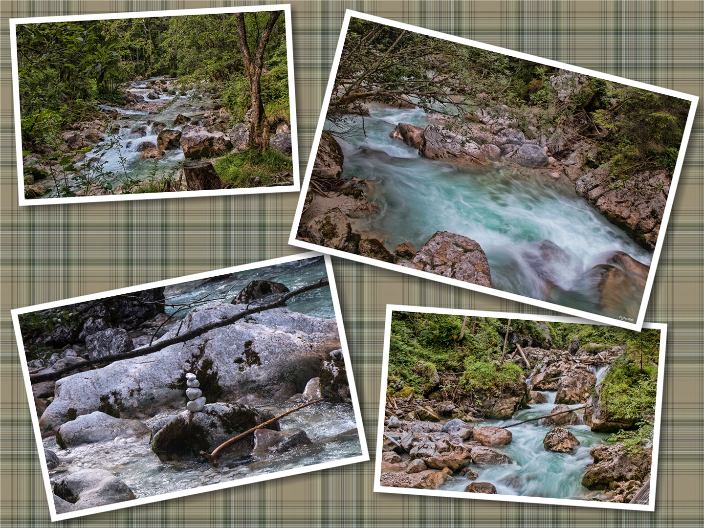 Zauberwald Impressionen