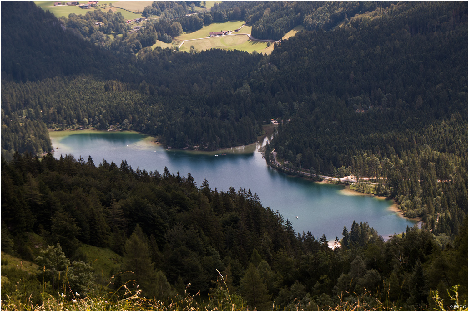 Blick auf den Hintersee