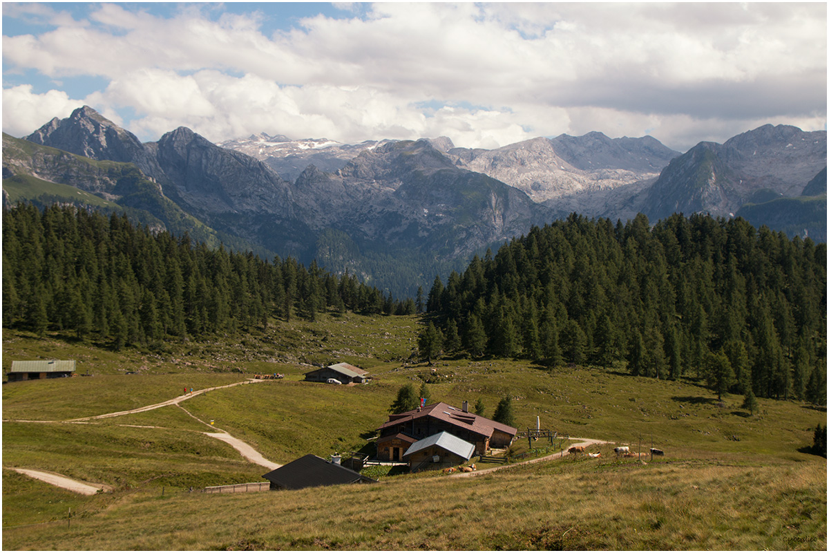 Gotzenalm Sommer 2017