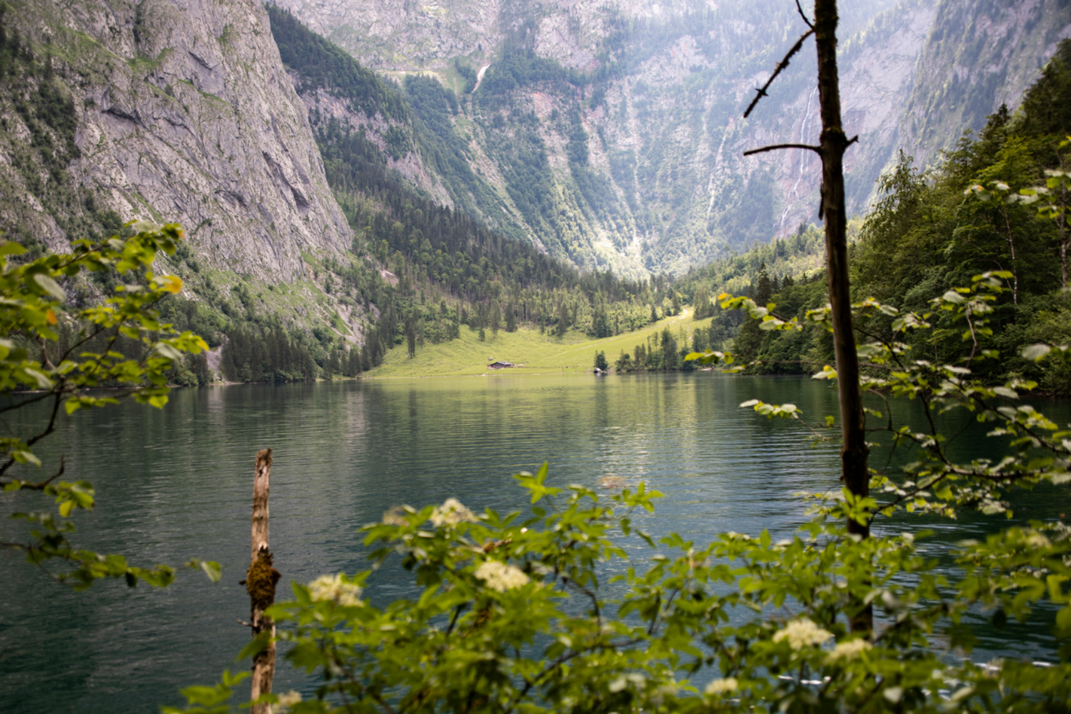 Obersee