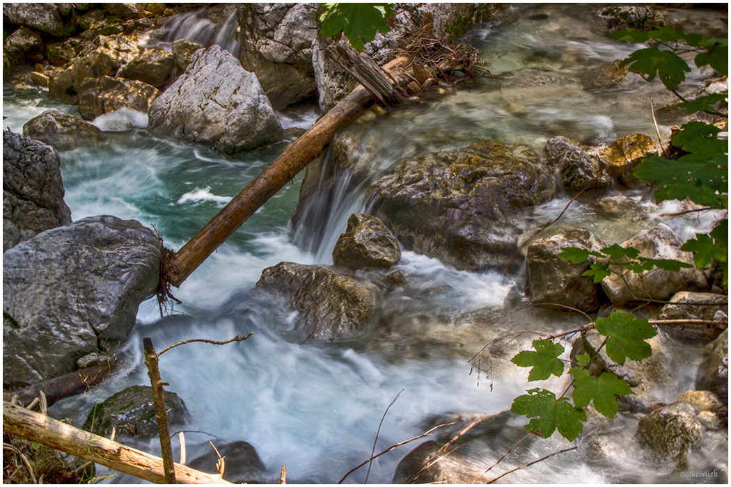Zauberwald Impressionen 1