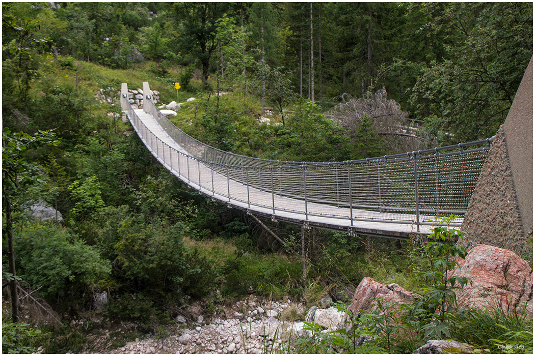 Hängebrücke im Nationalpark