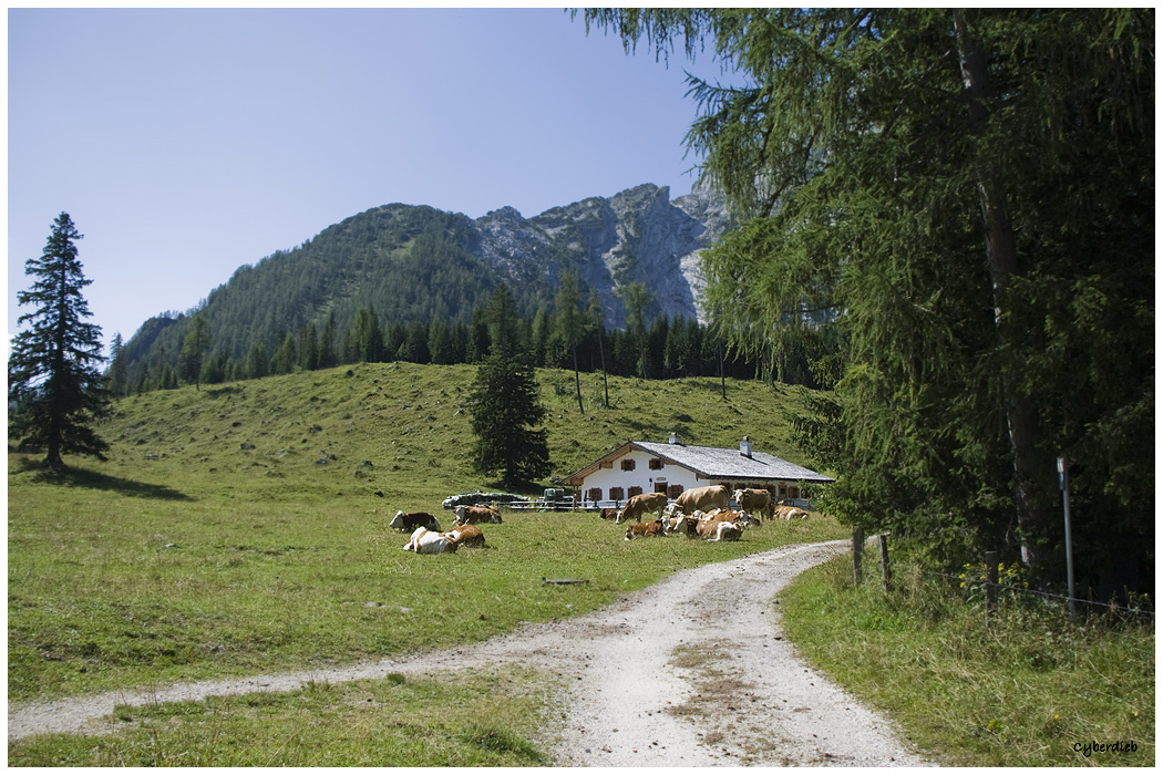 Bei der Kühroint Almhütte 1420 m