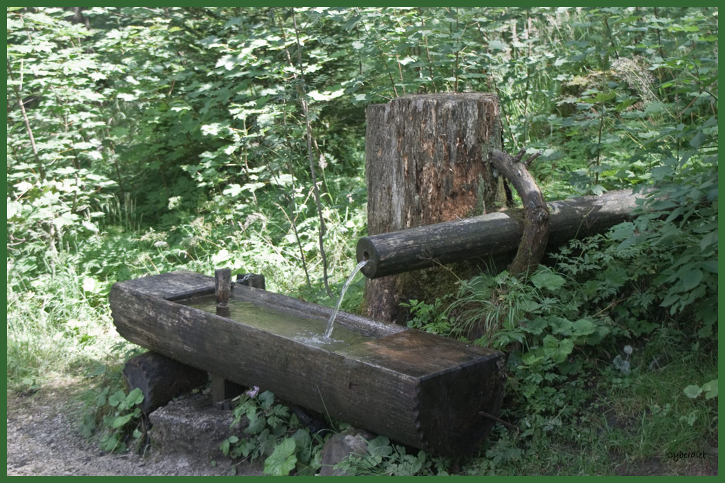 Frisches Bergquellwasser
