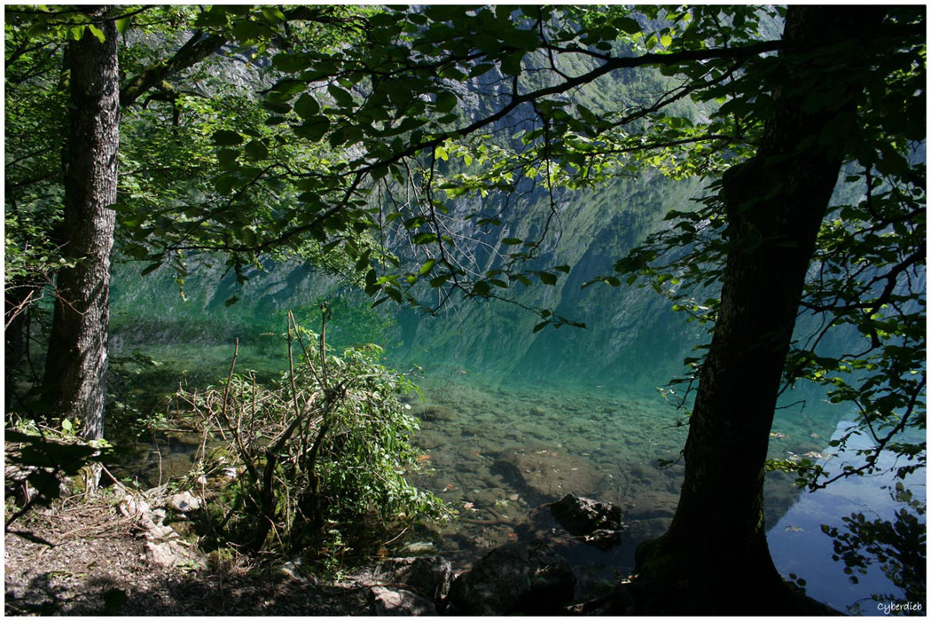 Farbenspiel im Obersee