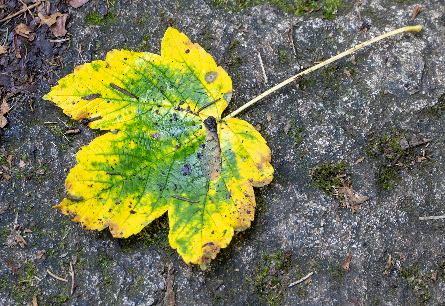 Herbst 2023