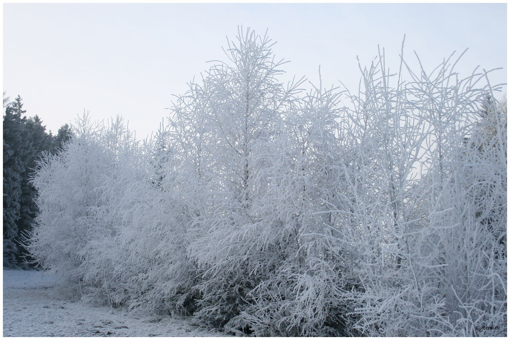 Wintertraum2