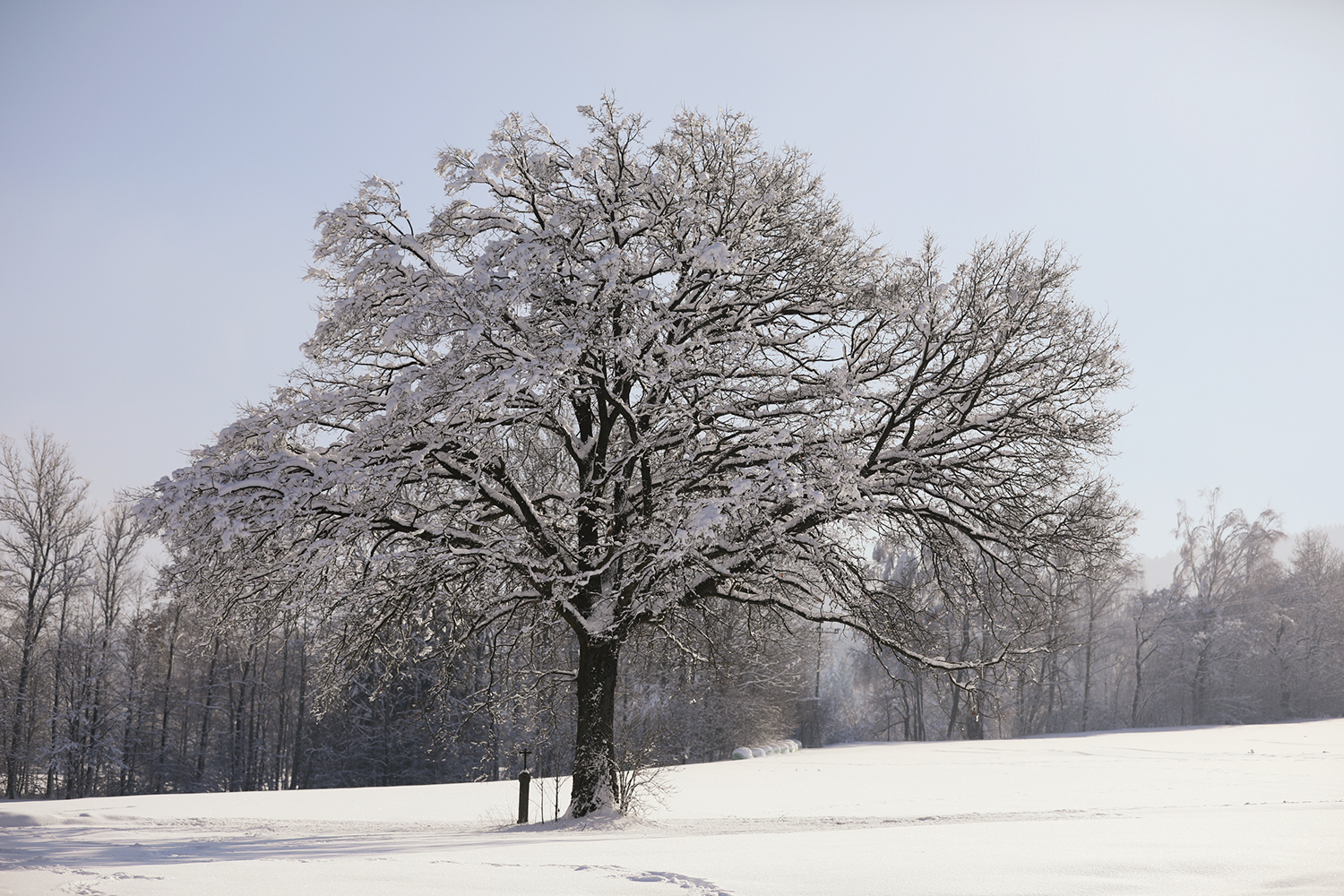 Winter 2018
