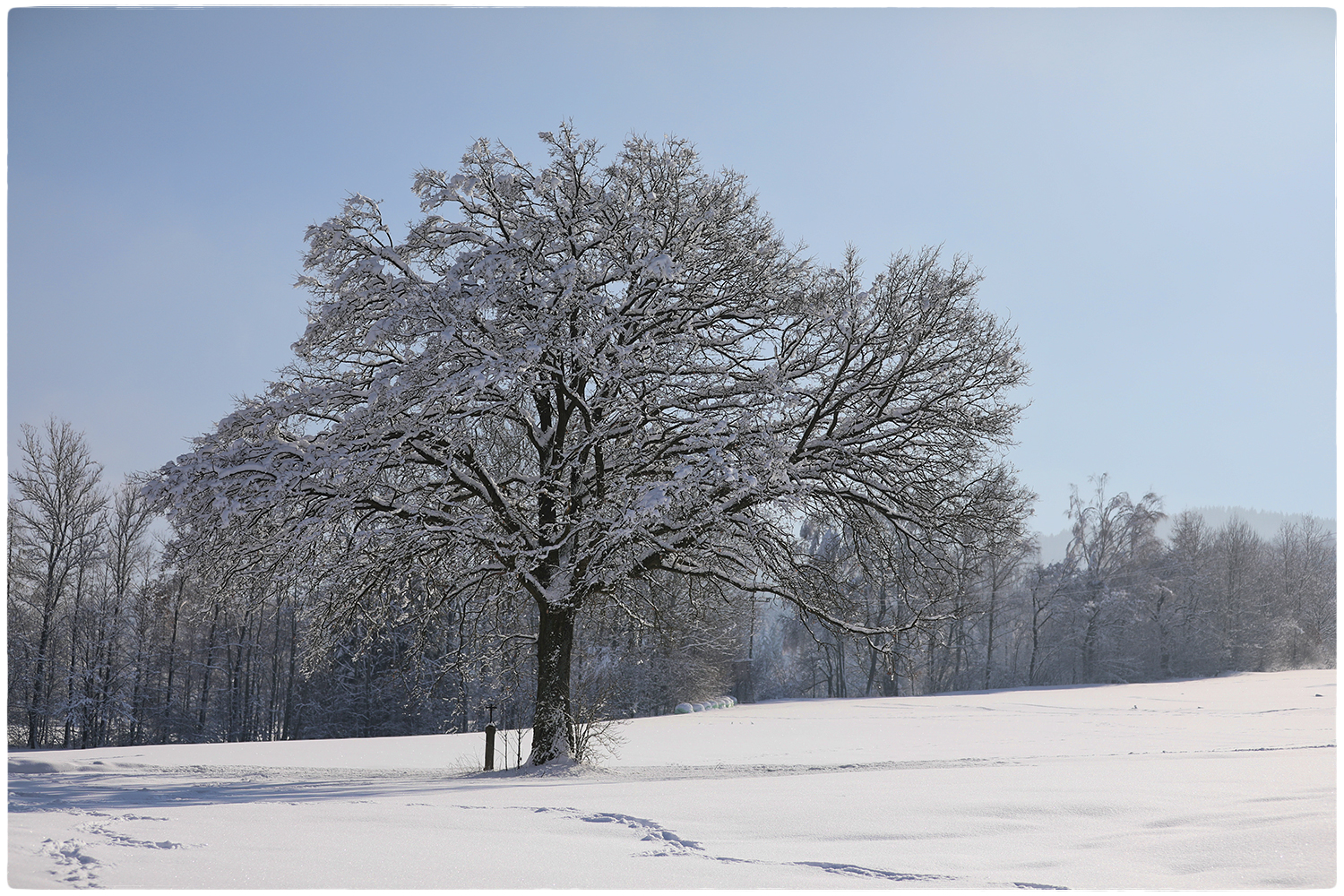 Winterland