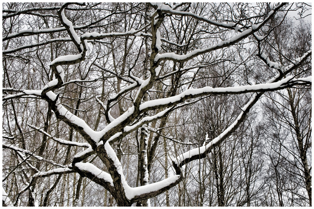 Winterimpressionen
