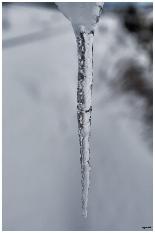 Eiszeit