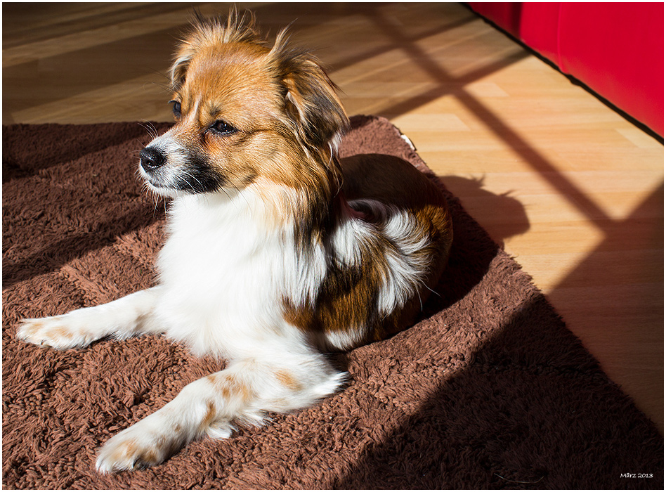Ein Platz an der Sonne