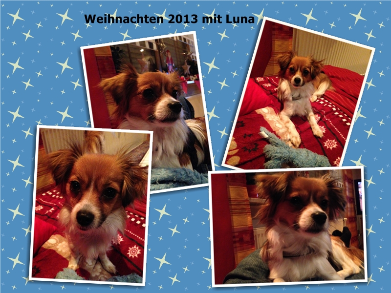 Luna Weihnachten 2013