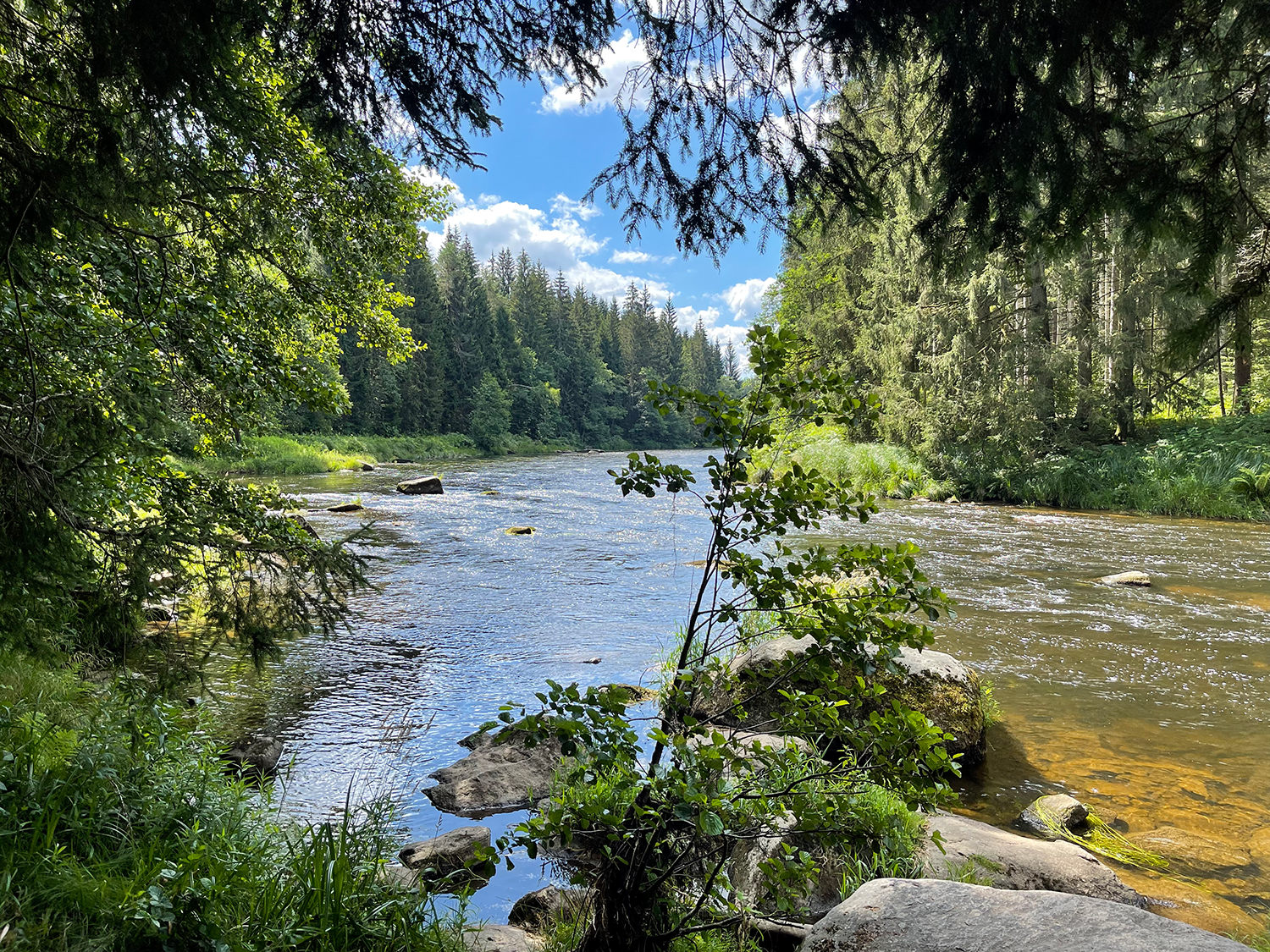 Bay. Kanada im Sommer