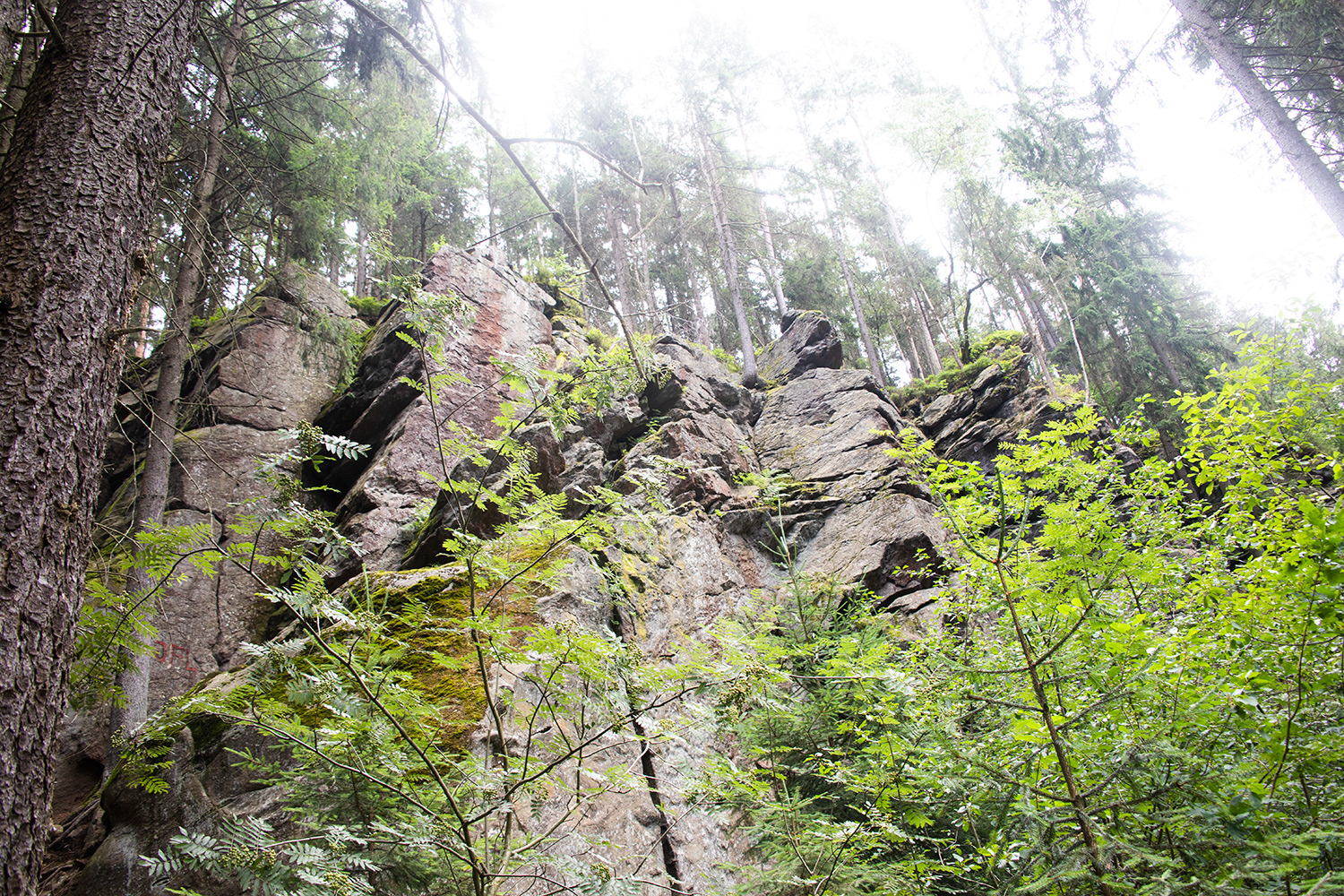 Felsen am Fluss