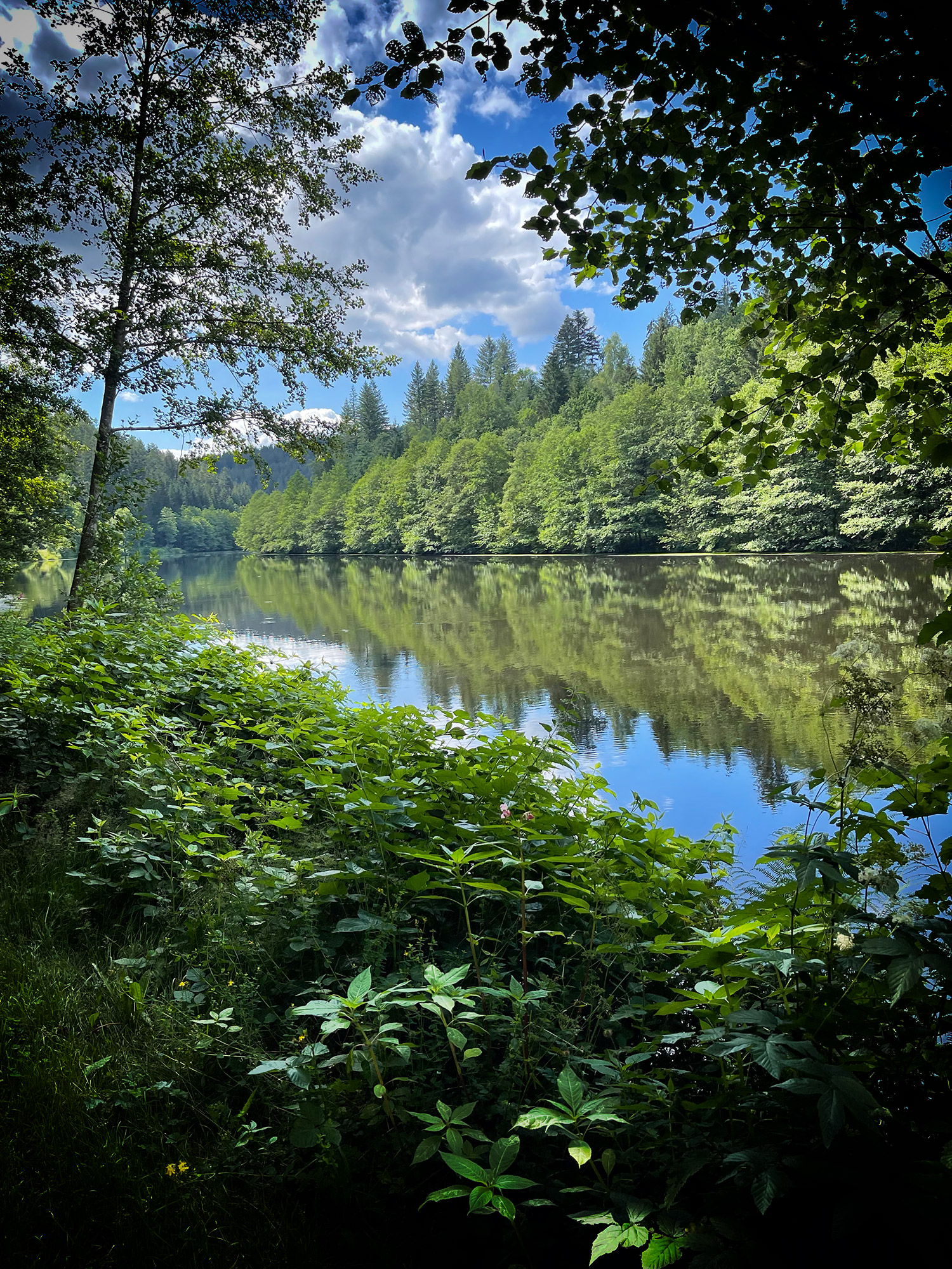 Wild u. Romantisch