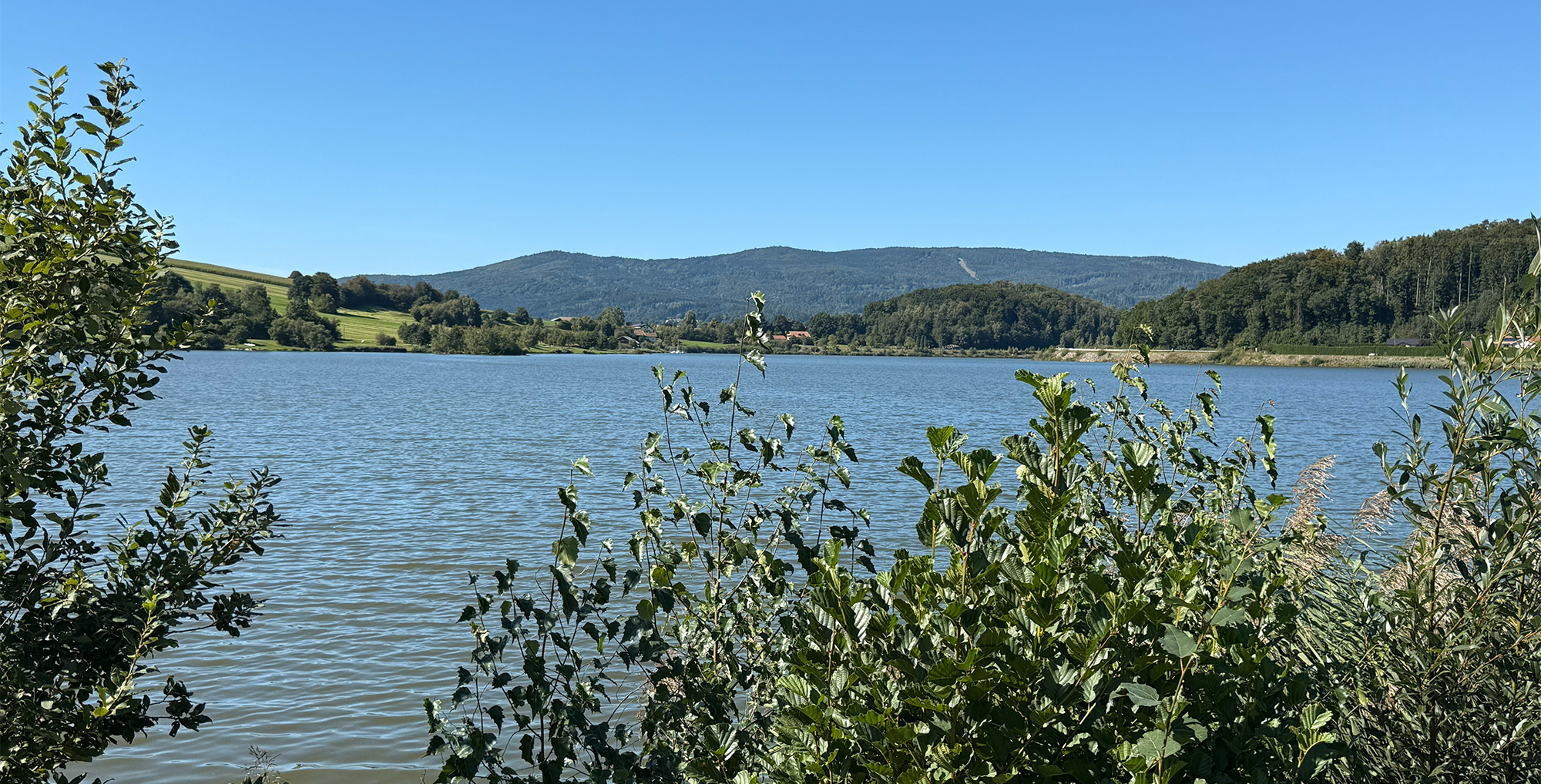 Stille am See
