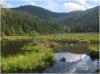 Kleiner Arbersee im Sommer