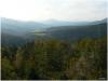 Bayrischer Wald