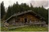 Moosenalm