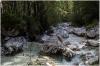 Zauberwald Impressionen 2