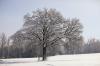Winter 2018
