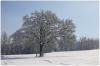 Winterland
