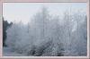 Frozen Days