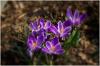 Frühling 2014