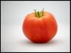 Tomate