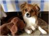 Unsere kleine Luna