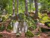 Fels Formation am Hohen Bogen